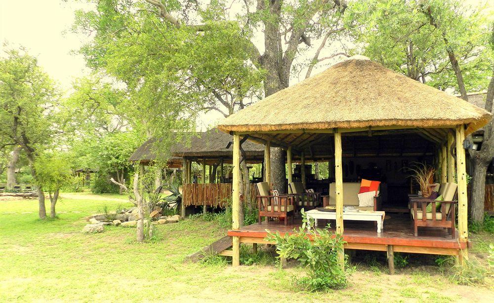 Shindzela Tented Camp Timbavati Game Reserve Eksteriør bilde
