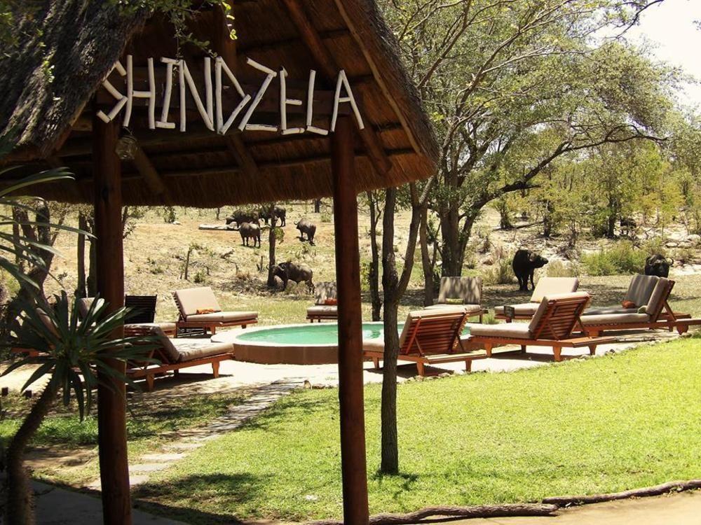Shindzela Tented Camp Timbavati Game Reserve Eksteriør bilde