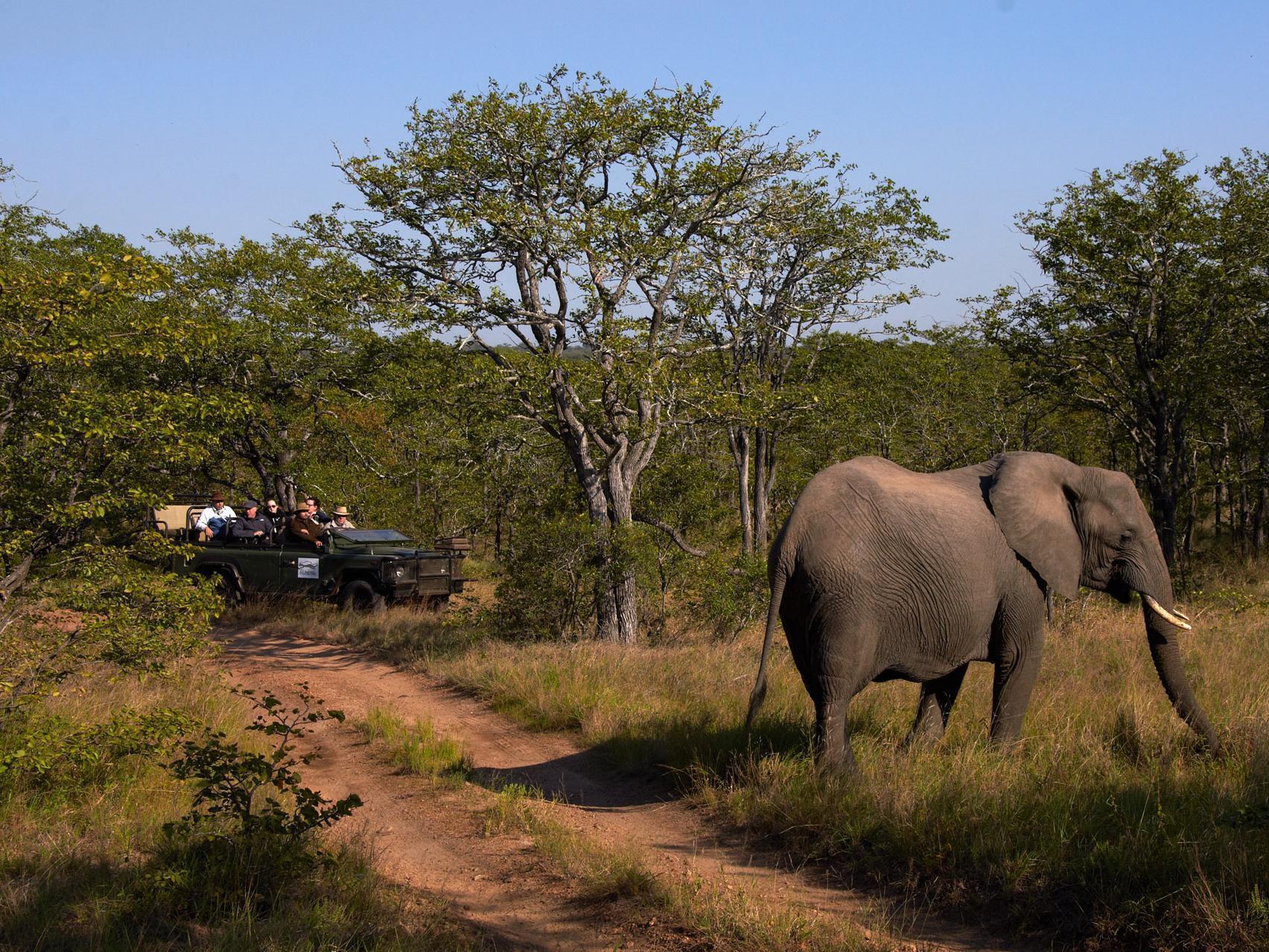 Shindzela Tented Camp Timbavati Game Reserve Eksteriør bilde