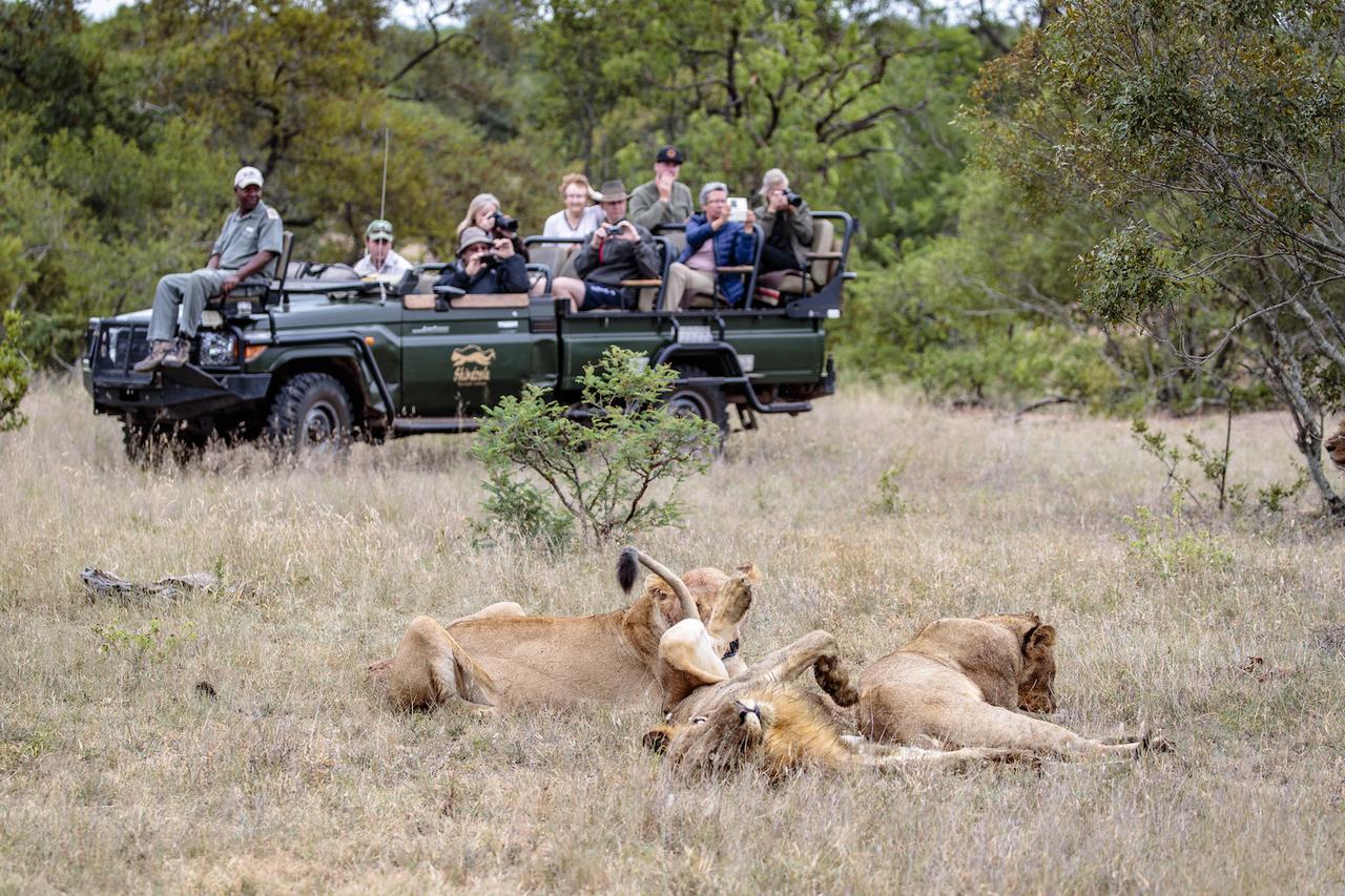 Shindzela Tented Camp Timbavati Game Reserve Eksteriør bilde