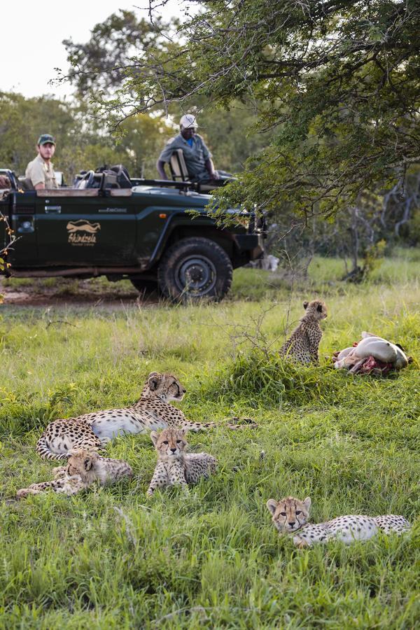 Shindzela Tented Camp Timbavati Game Reserve Eksteriør bilde