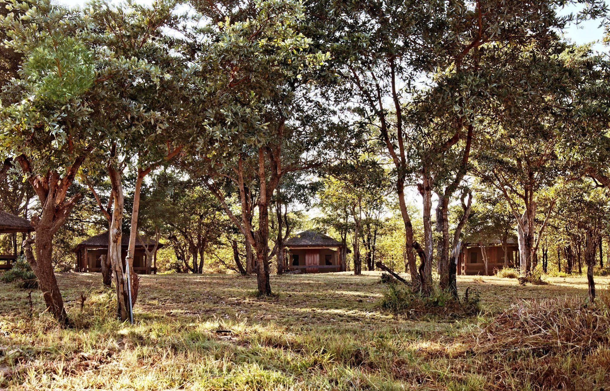 Shindzela Tented Camp Timbavati Game Reserve Eksteriør bilde