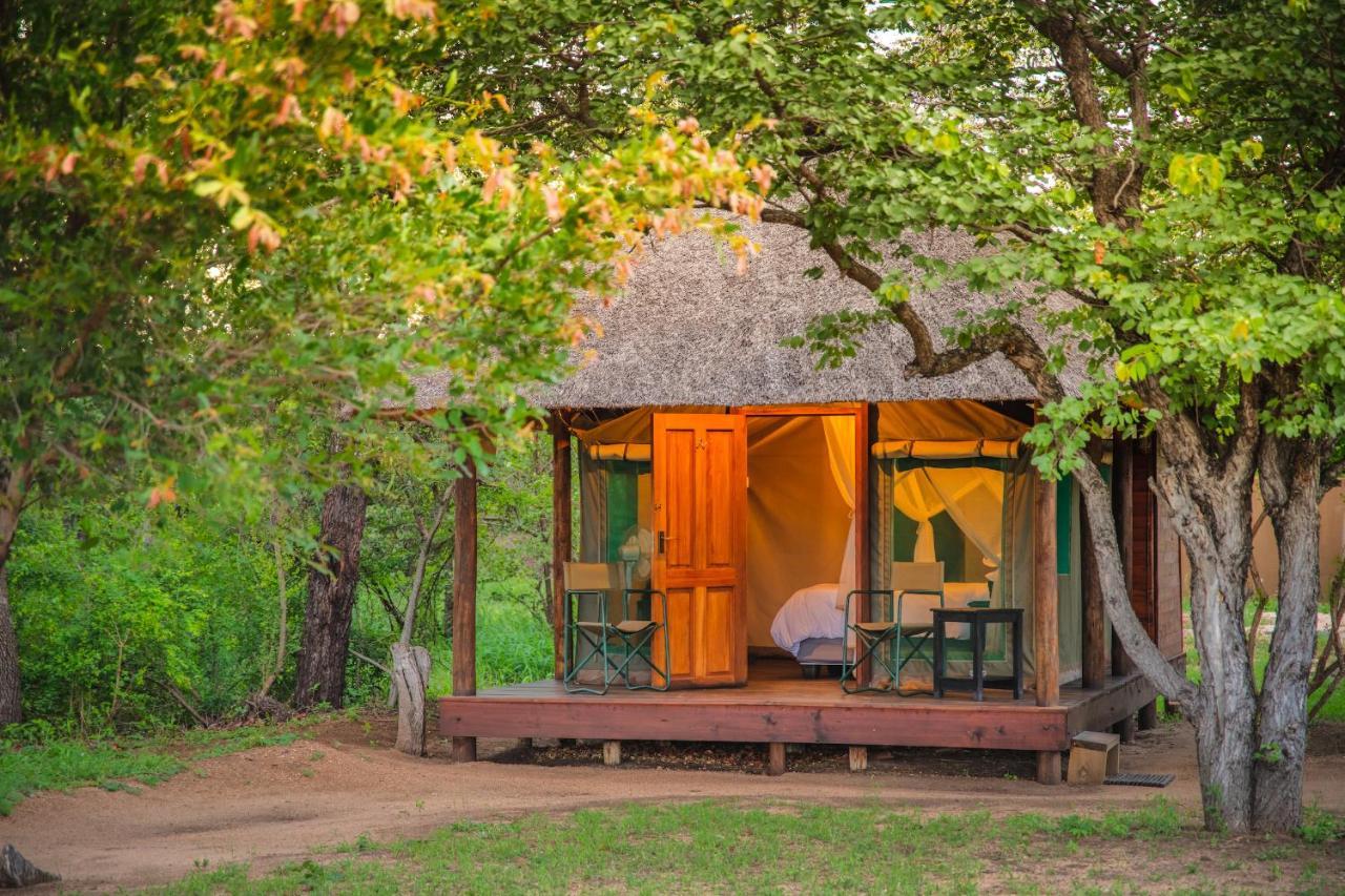 Shindzela Tented Camp Timbavati Game Reserve Eksteriør bilde