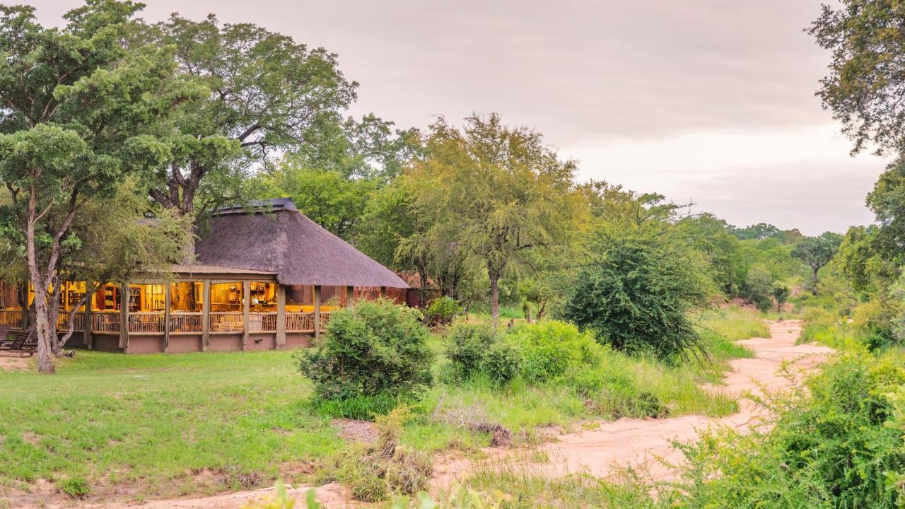 Shindzela Tented Camp Timbavati Game Reserve Eksteriør bilde