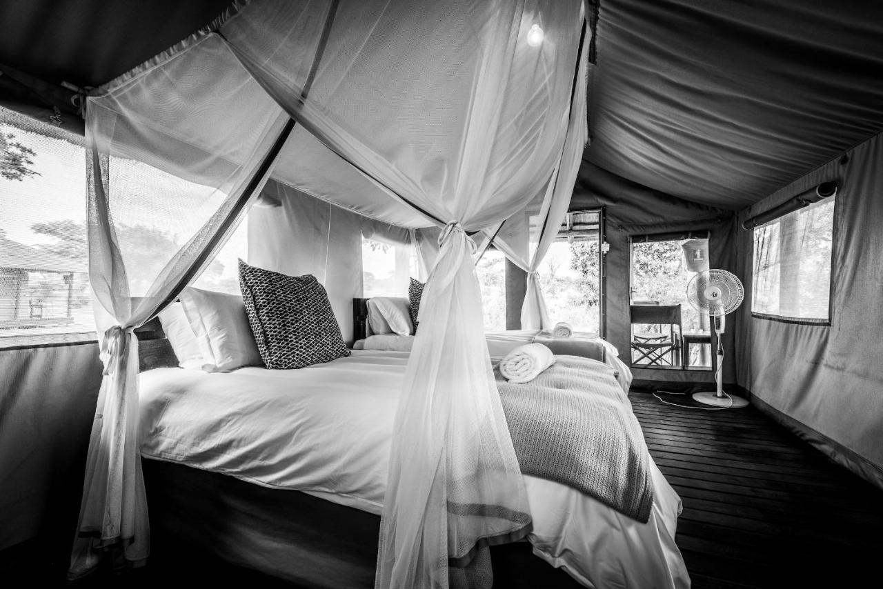 Shindzela Tented Camp Timbavati Game Reserve Eksteriør bilde